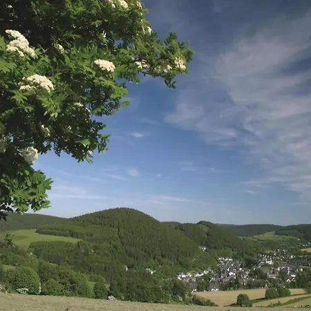 Cosy Over Usseln With Private Terrace Apartamento Willingen (Upland)