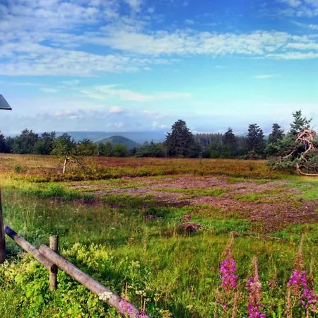 شقة In Usseln Nahe Skiliften فيلنغن
