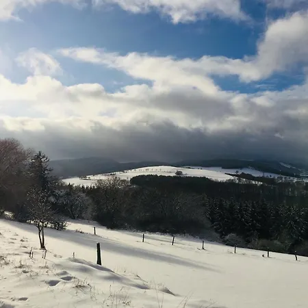 In Usseln Nahe Skiliften * فيلنغن