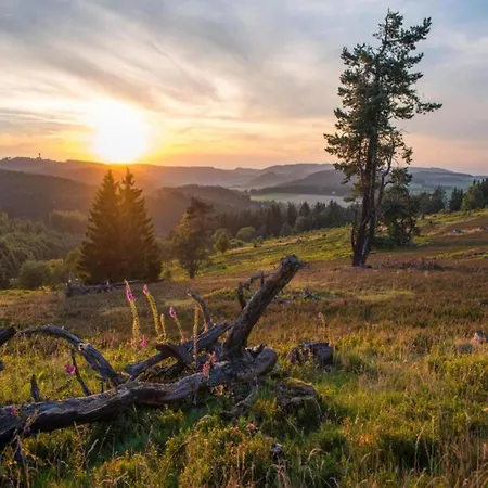 아파트 In Usseln Nahe Skiliften 빌링겐