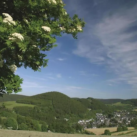 In Usseln Nahe Skiliften * 빌링겐