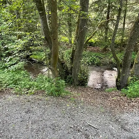 In Usseln Nahe Skiliften 아파트 *