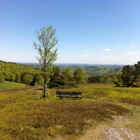 In Usseln Nahe Skiliften شقة فيلنغن