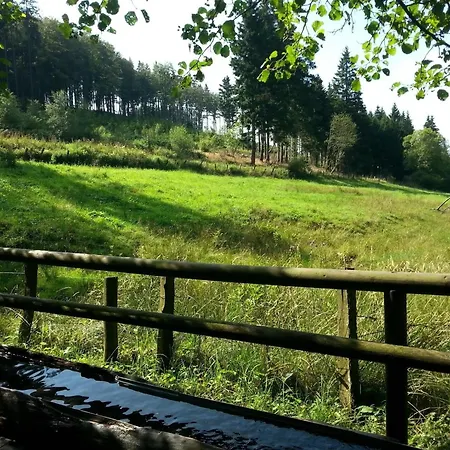 Appartement In Usseln Nahe Skiliften