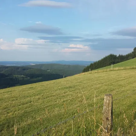 In Usseln Nahe Skiliften شقة فيلنغن