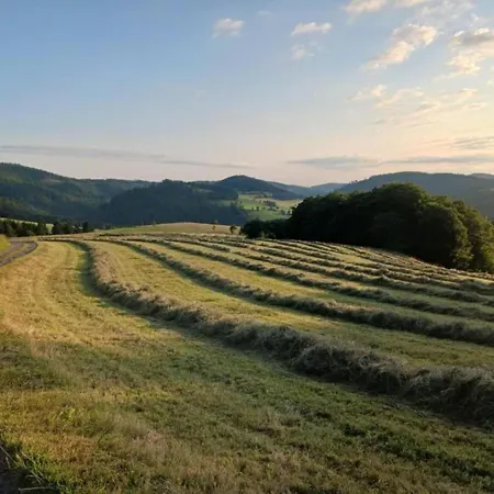 In Usseln Nahe Skiliften * فيلنغن