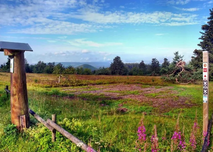 Apartment In Usseln Nahe Skiliften Willingen (Upland)