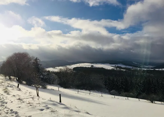 In Usseln Nahe Skiliften * Willingen (Upland)