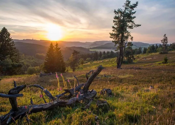 Апартаменты In Usseln Nahe Skiliften Виллинген