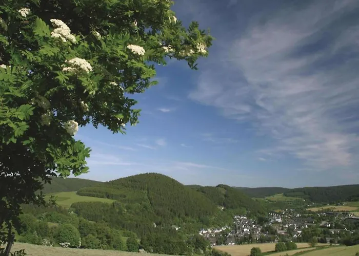 In Usseln Nahe Skiliften * Willingen (Upland)