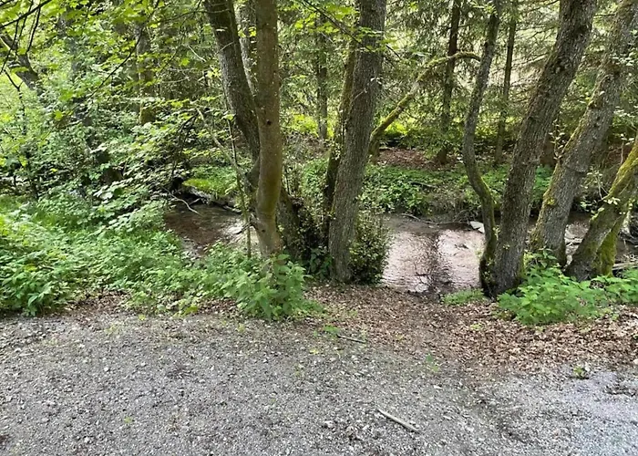 In Usseln Nahe Skiliften Apartment *