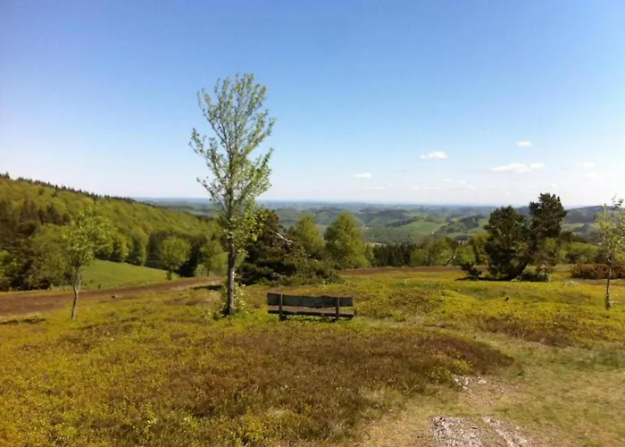 In Usseln Nahe Skiliften Apartment Willingen (Upland)