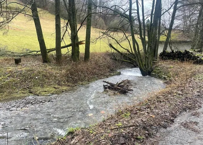 In Usseln Nahe Skiliften Виллинген