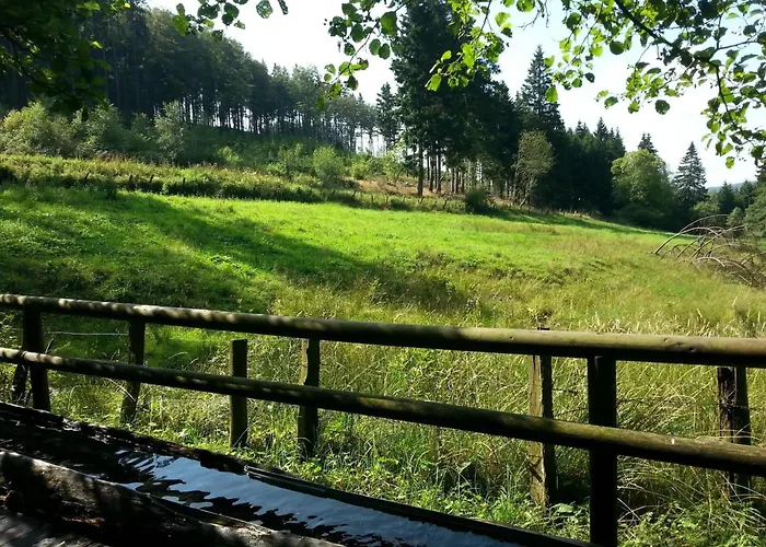 Апартаменты In Usseln Nahe Skiliften