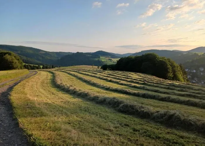 In Usseln Nahe Skiliften * Willingen (Upland)